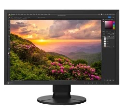 EIZO S2400